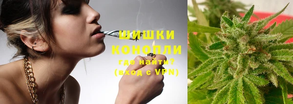 ГАЛЛЮЦИНОГЕННЫЕ ГРИБЫ Абдулино