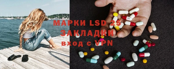 шишки Алзамай