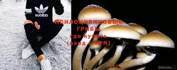 спайс Абинск